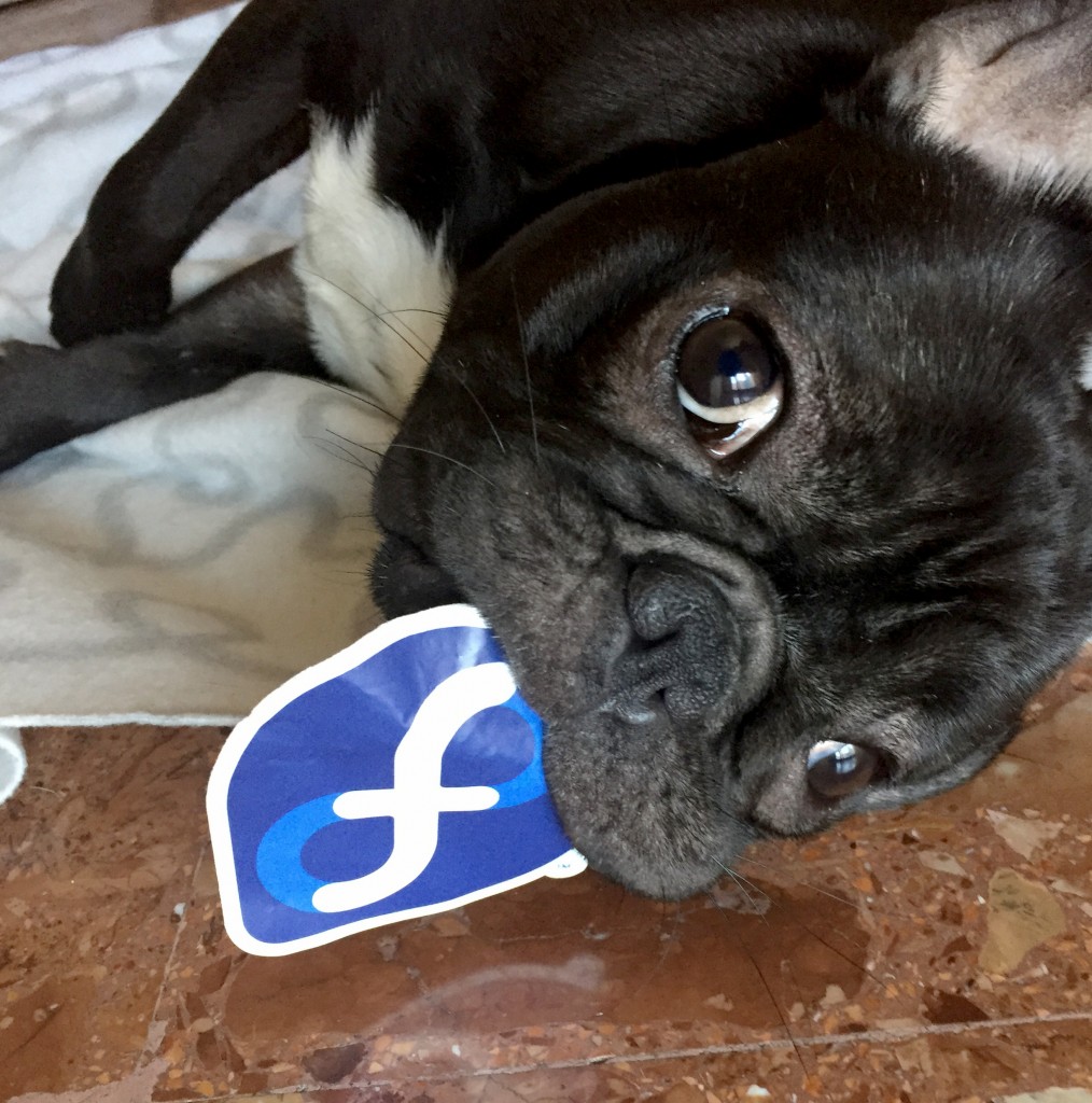 Fedora sticker meets dog