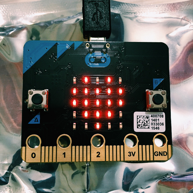 Programming with Micro Bit: Set up with an LED display