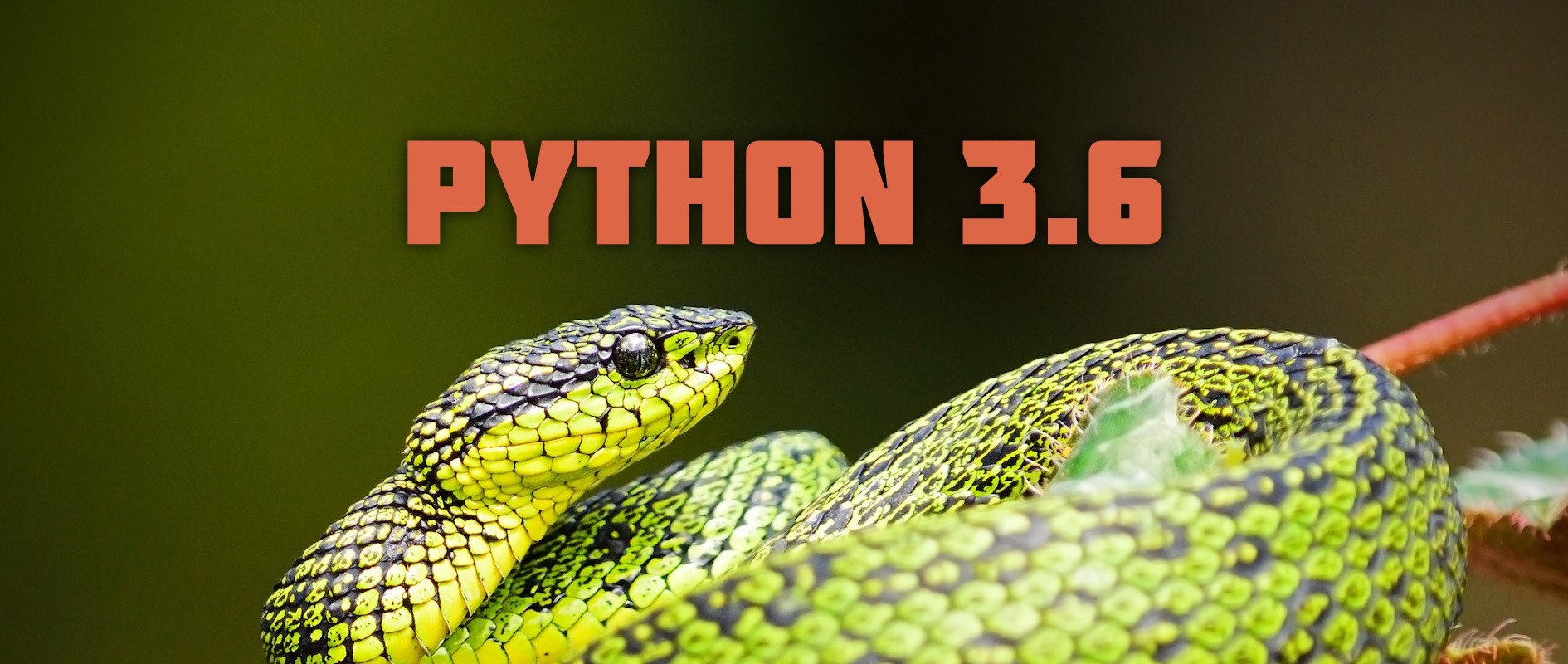 Python. Москва питон сообщество. Fedora Python Classroom. Clear Python.