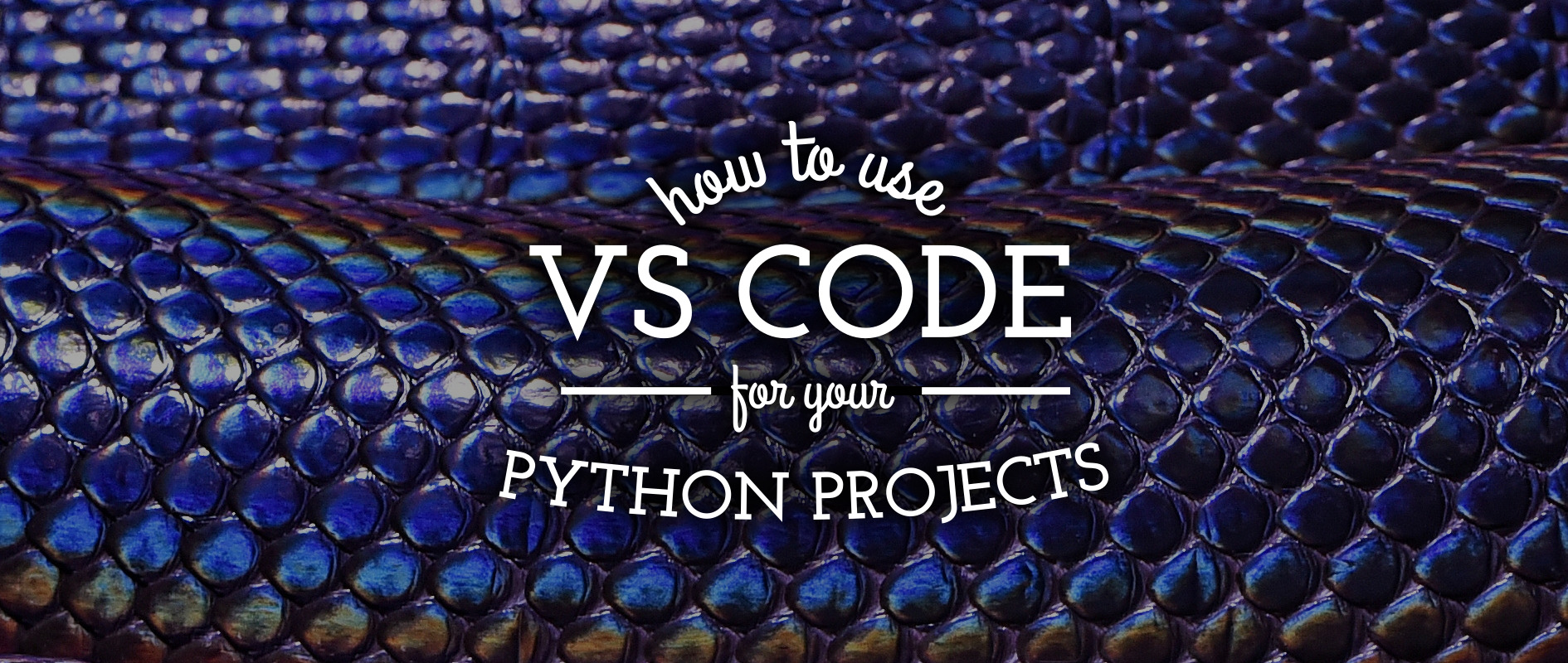 How to use VS Code for your Python projects  Fedora Magazine