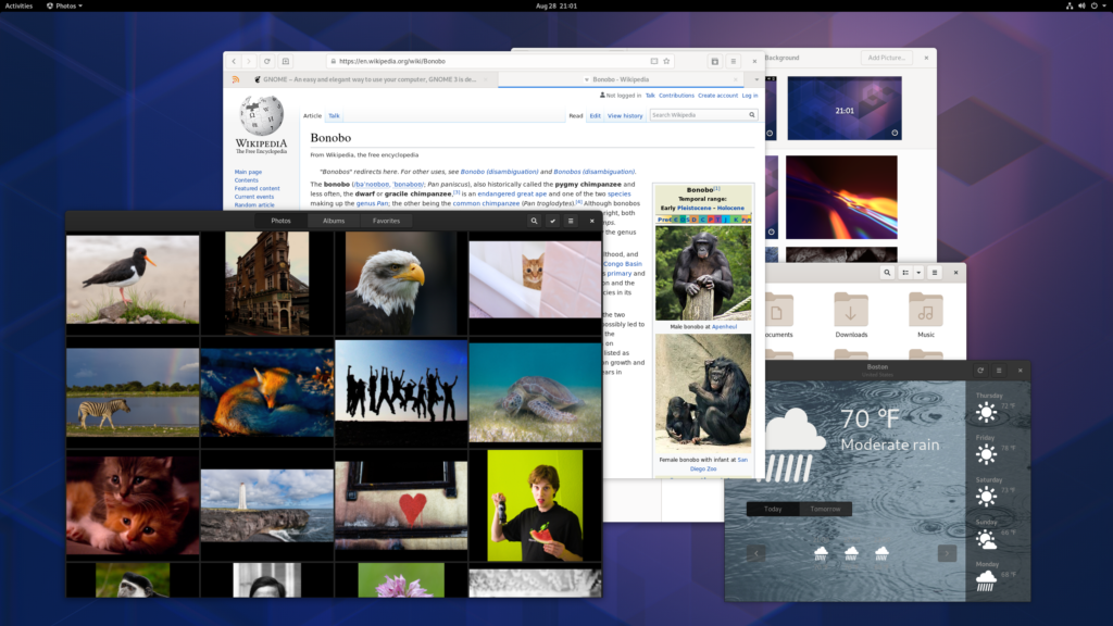 Fedora 31 terá GNOME 3.34