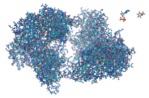 image of protien molecules