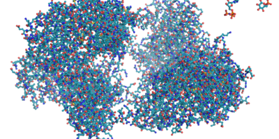 image of protien molecules