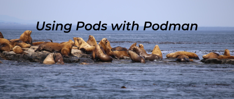 Using Pods with Podman
