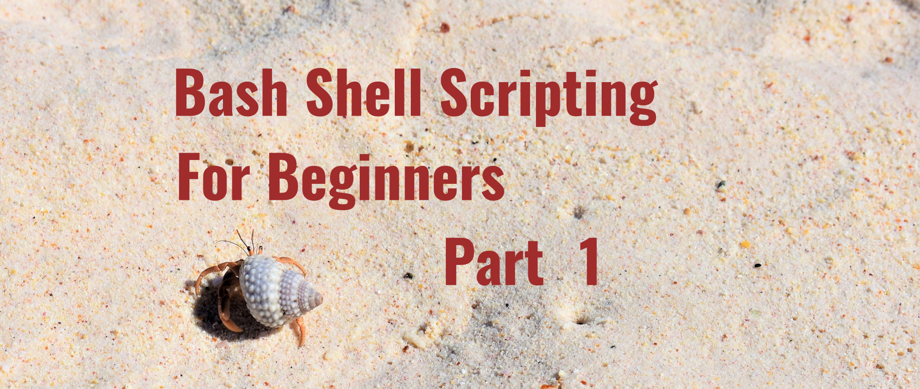 As the title implies this article will be covering Bash Shell Scripting at a beginner level. I’m not going to review the history of Bash but the